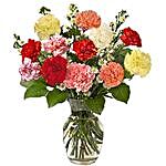 12 Multi color Carnations in Vase
