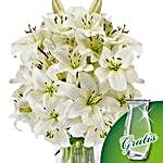10 white lilies in a bunch