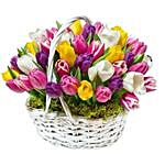 Vibrant Mixed Tulips Basket