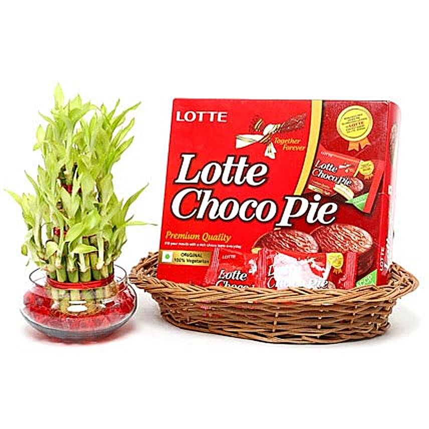 Lucky Bamboo and Choco Pie