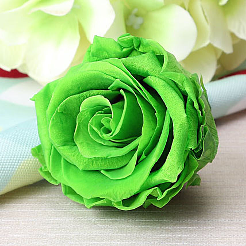 Forever Green Rose