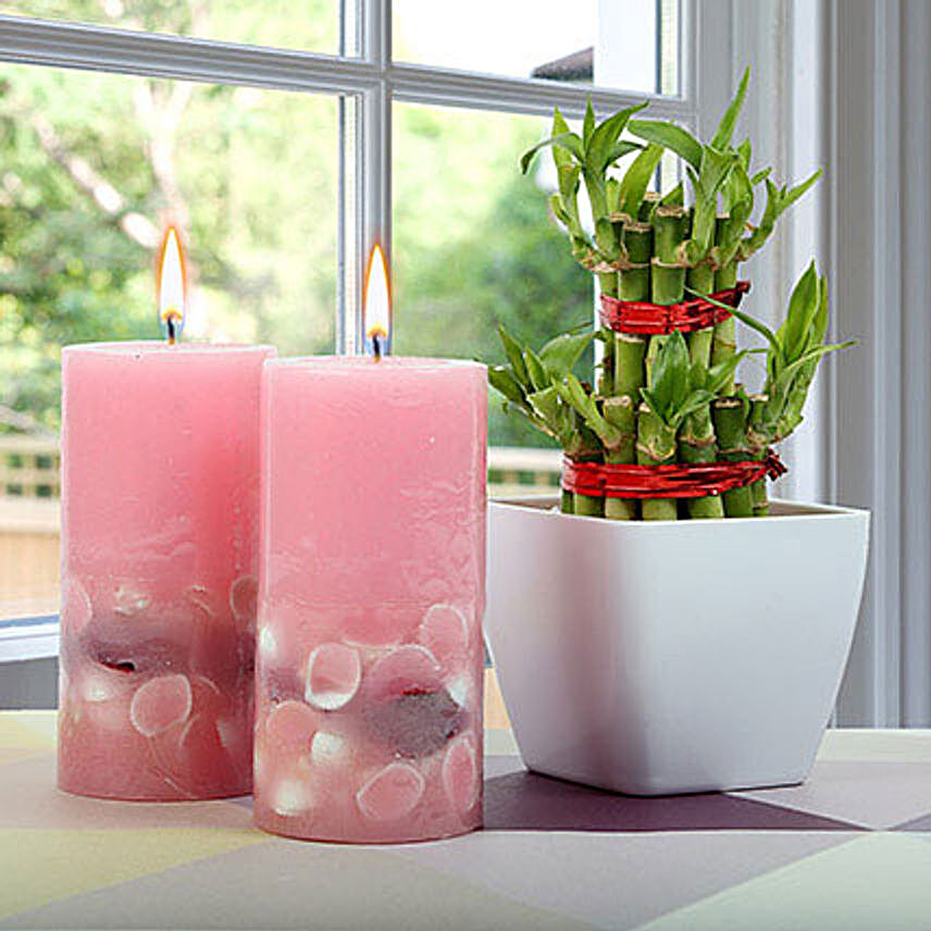 Lucky Bamboo With Scented Candles