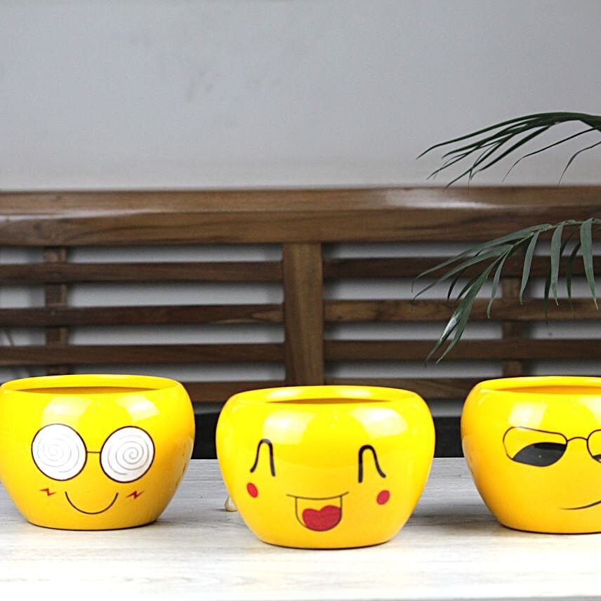 Quirky Emojis Orchid Pot Set