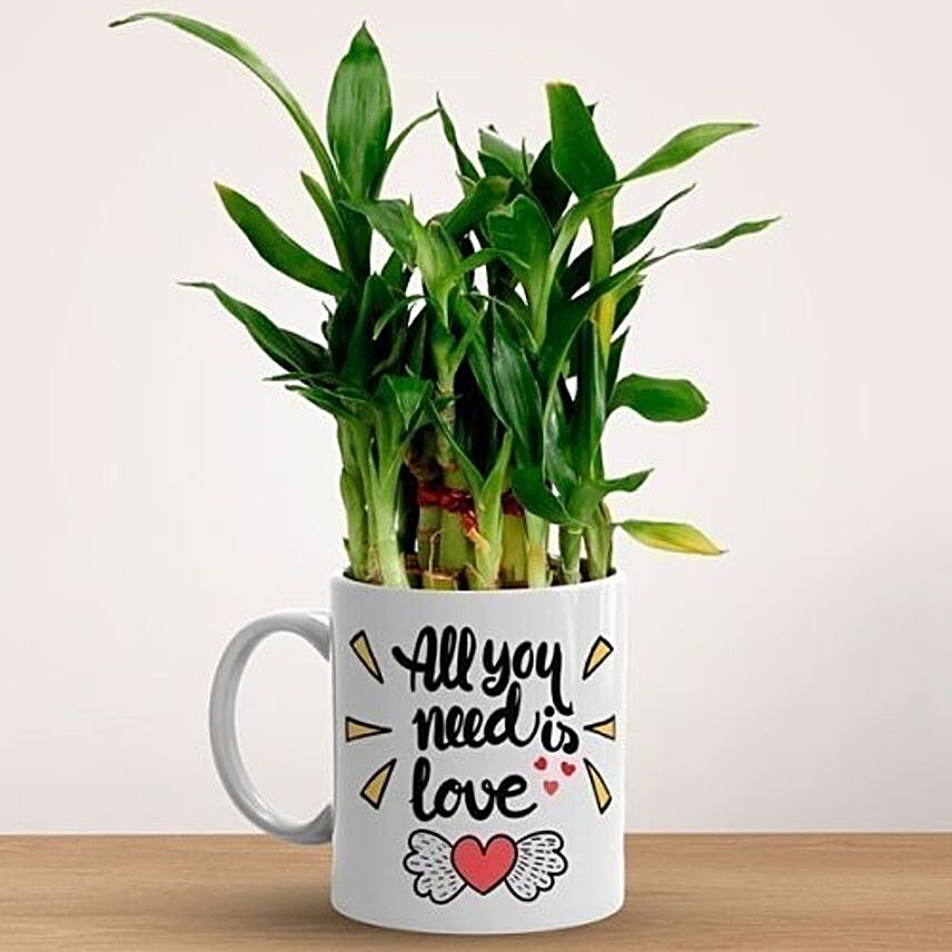 All You Need Is Love Printed Ceramic Mug With Lucky Bamboo Plant
