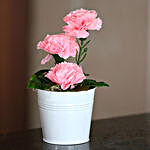 Blooming Carnations Artificial Plant