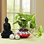 Serene Buddha and Plant