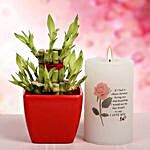Lucky Bamboo With Candle