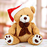 Merry Christmas with Teddy