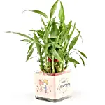 Two Layer Bamboo Plant Anniversary Greetings