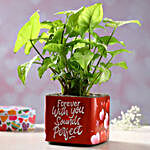 Syngonium Plant In Forever With You Sounds Perfect Sticker Vase