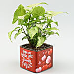 Syngonium Plant In Forever With You Sounds Perfect Sticker Vase