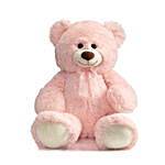 Huggable Teddy Bear With Bow