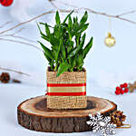 2 Layer Bamboo Plant Jute Wrapped Vase