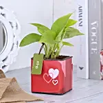 Money Plant In Lucky To Have You Glass Pot