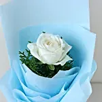 Elegant Single White Rose