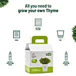 Thyme DIY Grow Kit