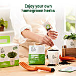 Thyme DIY Grow Kit