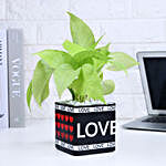 Money Plant Love Gift