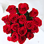 Red Rose Romance Blooms