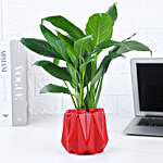 Peace Lily Plant In Red Designer Pot