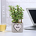 Jade Plant In Personalised Heart Planter