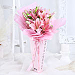 Pink Lily Blushing Beauty