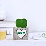 Hoya Plant in "Mom" Mug