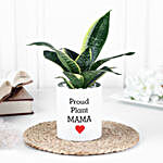 Milt Sansevieria for Proud Plant Mama