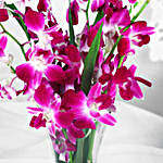 Vibrant Purple Orchid Flower Bunch