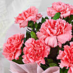 Beautiful 8 Pink Carnations Flower Bouquet