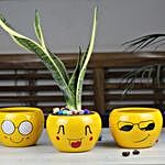 Quirky Emojis Orchid Pot Set
