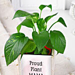 Desktop Money Plant Gift Set
