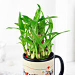 Two Layer Bamboo Plant In Happy Mother's Day Mug