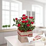 Red Rose In A Pot With Ferrero Raffaello