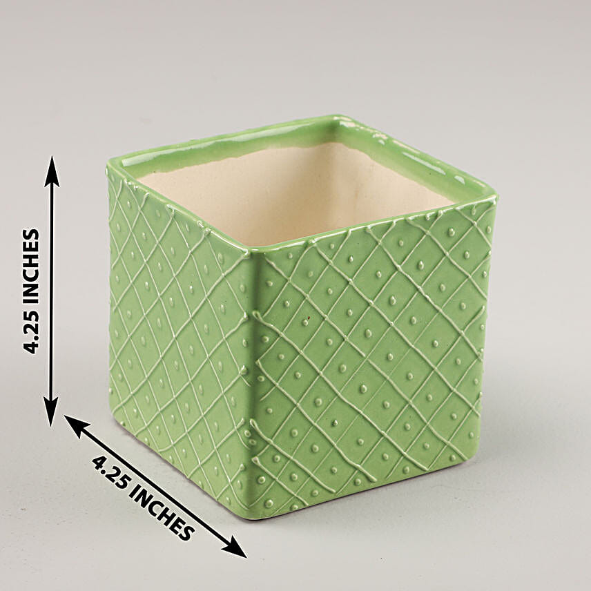 /images/pr/l/v20200912215301/ceramic-square-planter-green_1.jpg
