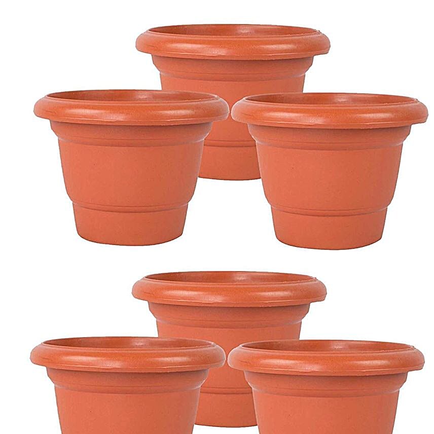 pdp_main_image