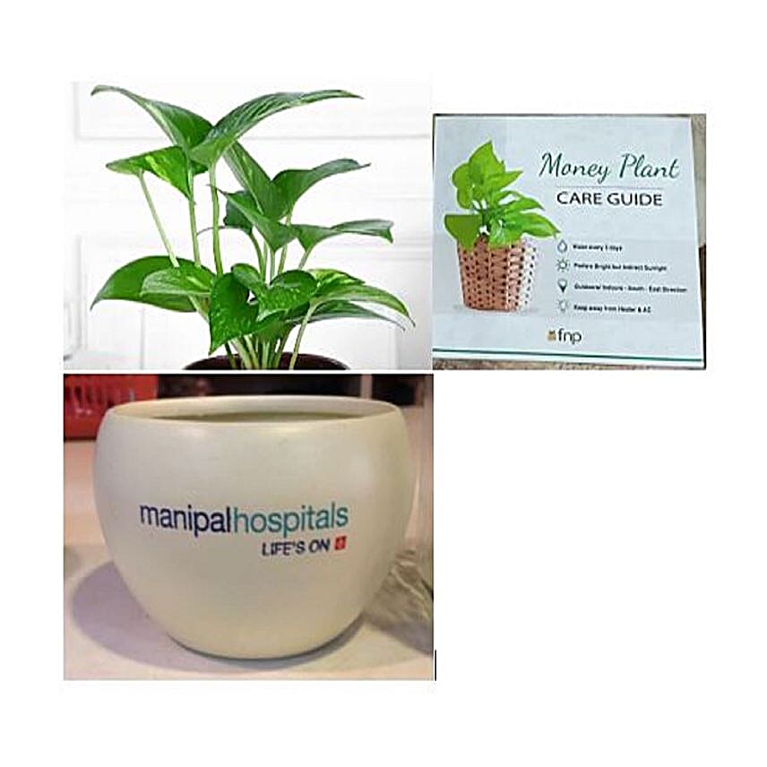 /images/pr/l/v20250214202657/corp-hamper-manipal-2_1.jpg