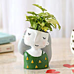 Green Syngonium Plant N Raisin Pot
