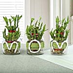 3 Layer Bamboo Plant for Mother