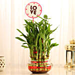 /images/pr/l/v20190111112737/three-layer-lucky-bamboo-for-valentine-day_1.jpg