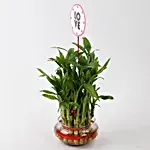 /images/pr/l/v20190111112739/three-layer-lucky-bamboo-for-valentine-day_3.jpg