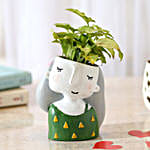 syngonium plant in attractive pot