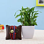 friendship band with plant combo for buddy
