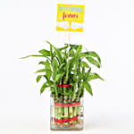 Friends Forever Two Layer Bamboo Plant