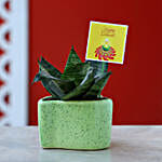 /images/pr/l/v20191003171727/snakeskin-plant-in-heart-shaped-pot_1.jpg