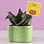 /images/pr/l/v20191003171728/snakeskin-plant-in-heart-shaped-pot_2.jpg