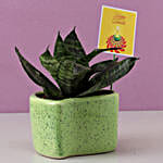 /images/pr/l/v20191003171728/snakeskin-plant-in-heart-shaped-pot_3.jpg