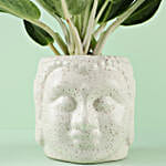 /images/pr/l/v20191022102859/aglaonema-osaka-plant-in-zen-buddha-head-pot_5.jpg