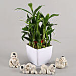 Two layer bamboo in a white tin vase with ceramic baby buddha set