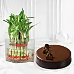Truffle with Bamboo Sticks